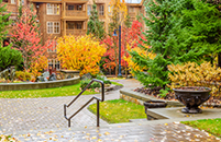 harris-box-fall-renter