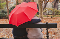 harris-box-fall-umbrella